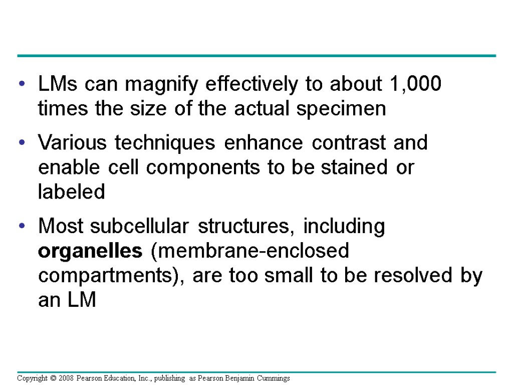 LMs can magnify effectively to about 1,000 times the size of the actual specimen